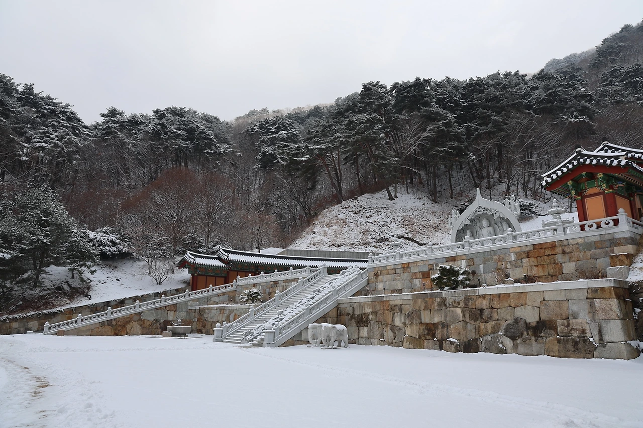 0R5A3179_новый размер.JPG