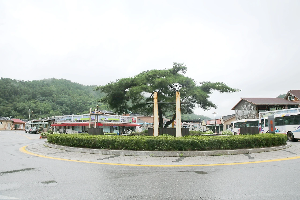 MG0A6341_новый размер_exposure.JPG