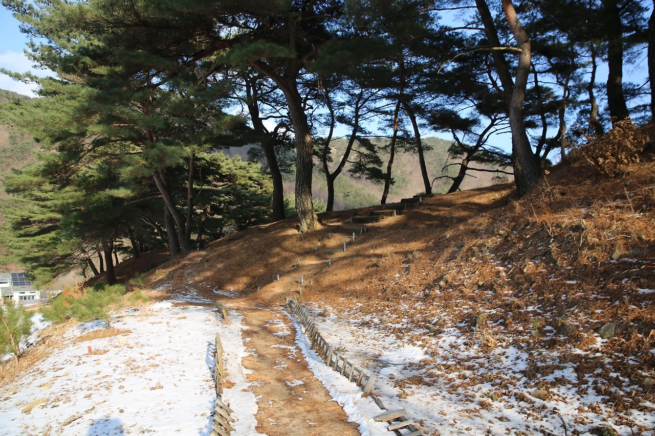 MG0A5479_новый размер.JPG