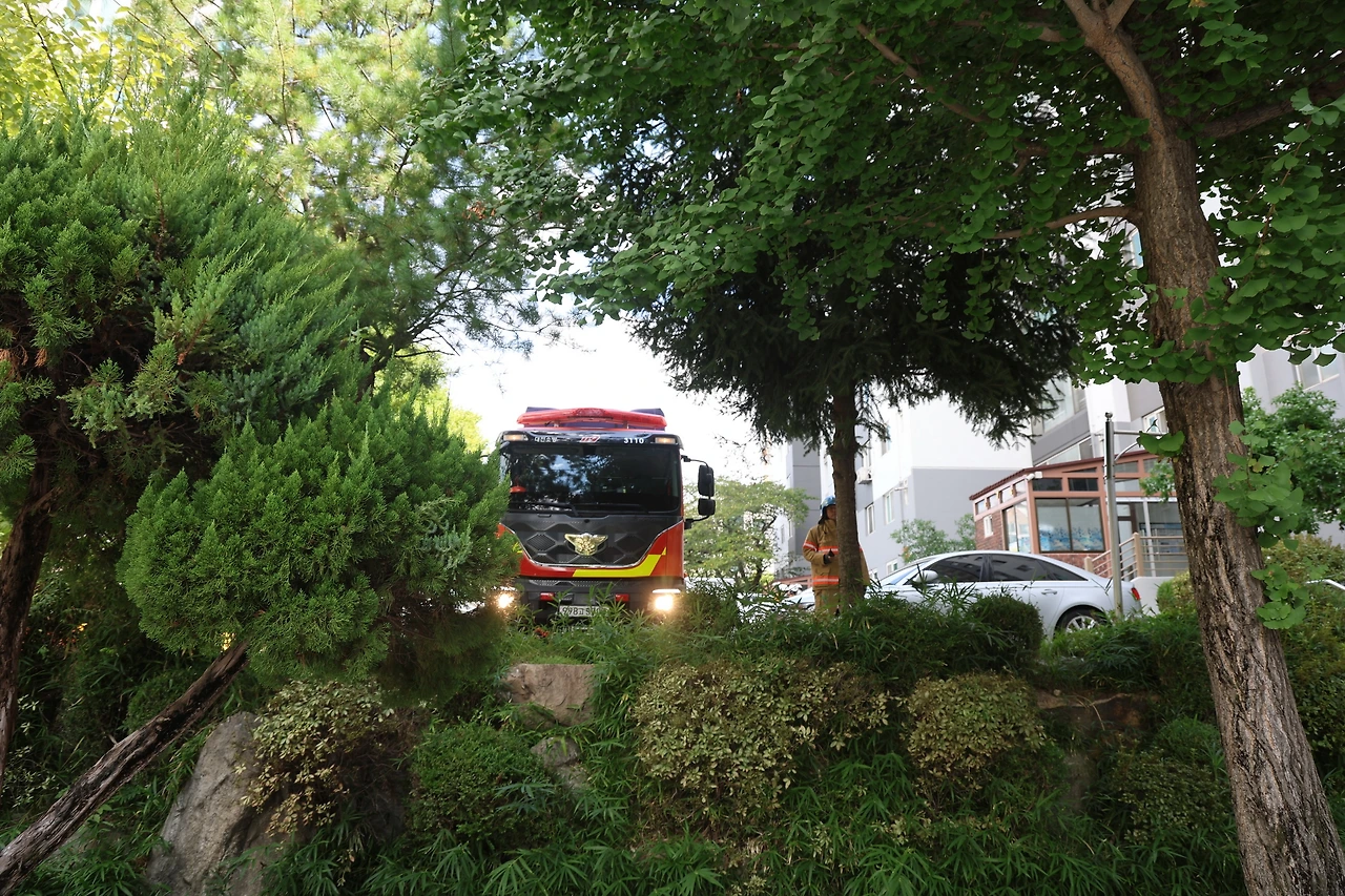 0R5A5913_новый размер.JPG