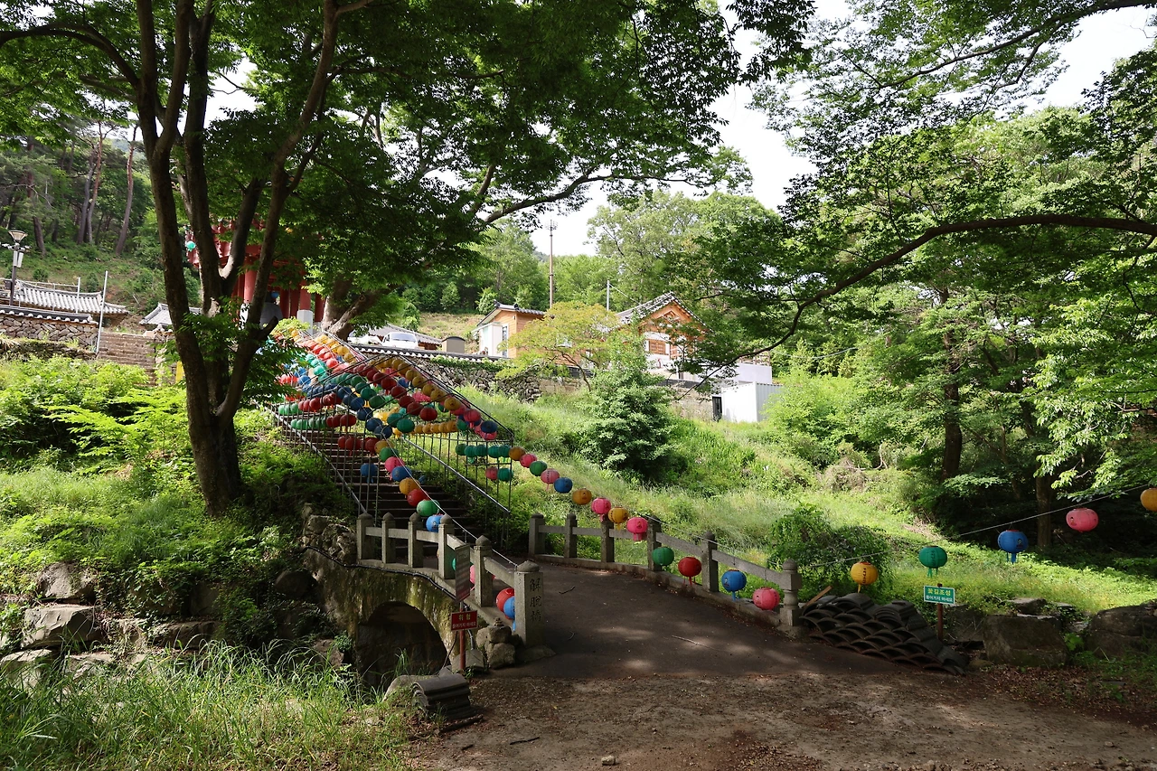 0R5A4094_новый размер.JPG