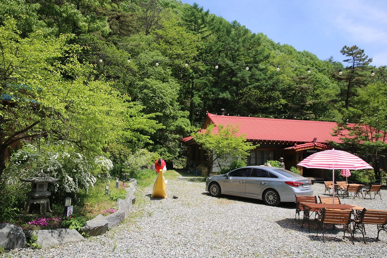 MG0A2538_новый размер.JPG