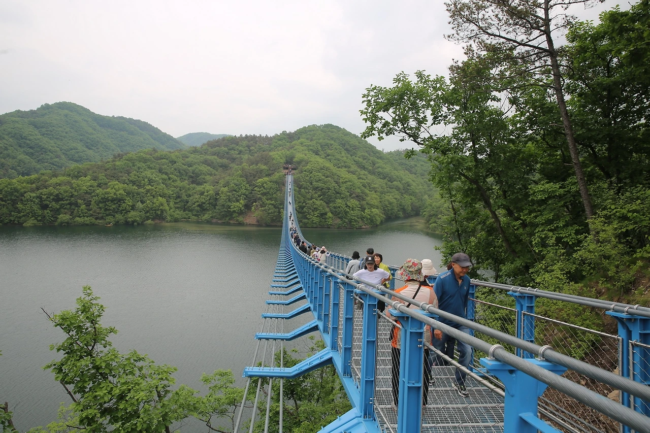 MG0A1563_новый размер.JPG