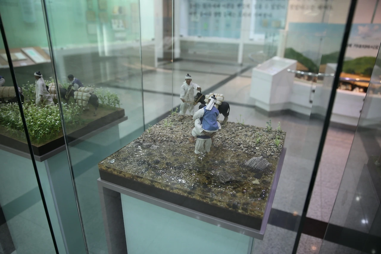 MG0A7740_новый размер.JPG