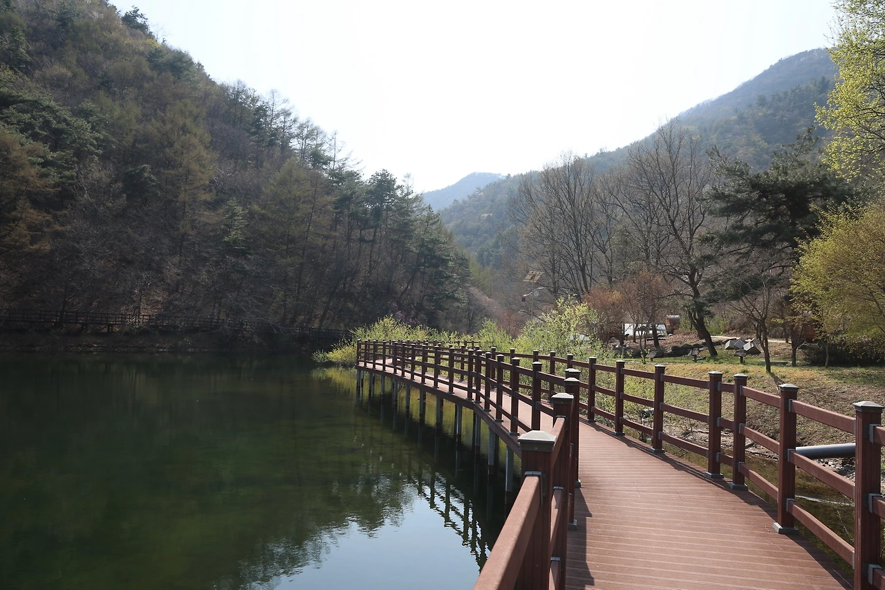 0R5A6474_новый размер.JPG