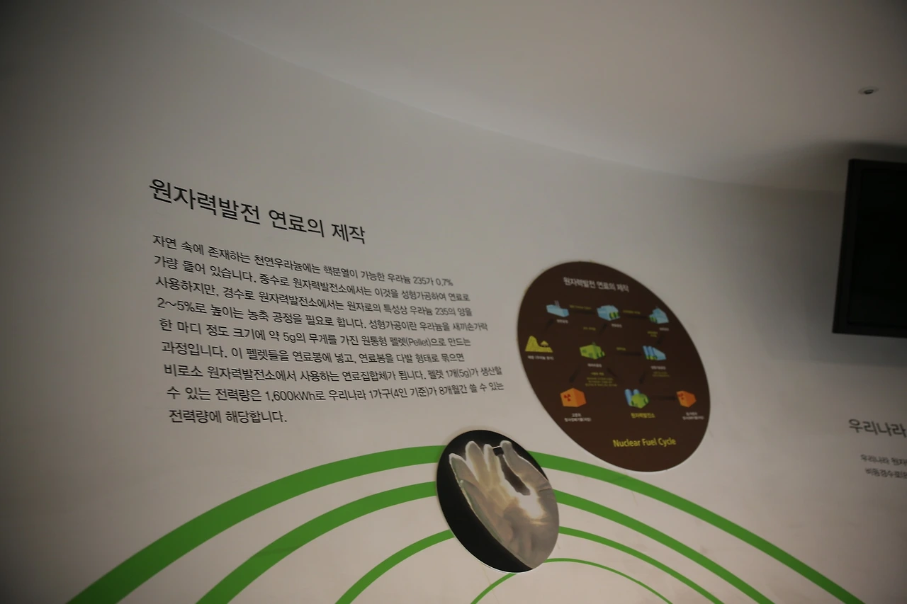 MG0A6446_новый размер.JPG