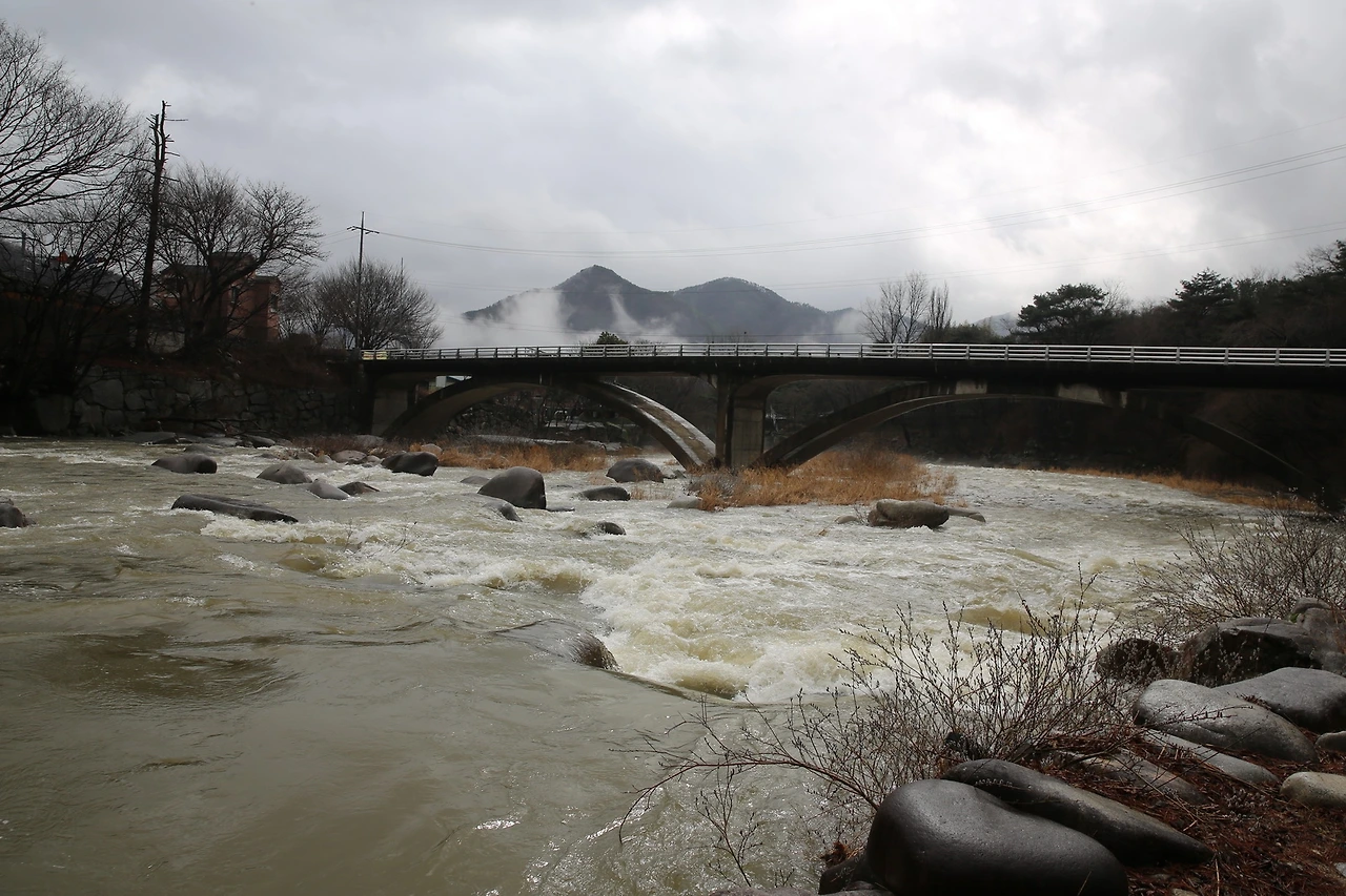 MG0A0297_новый размер.JPG