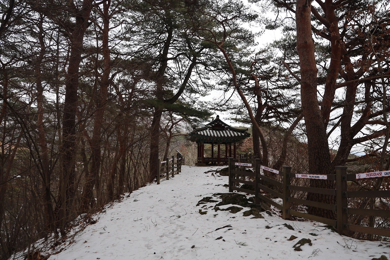 0R5A1724_новый размер.JPG