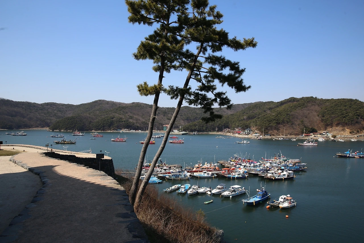 MG0A3382_новый размер.JPG