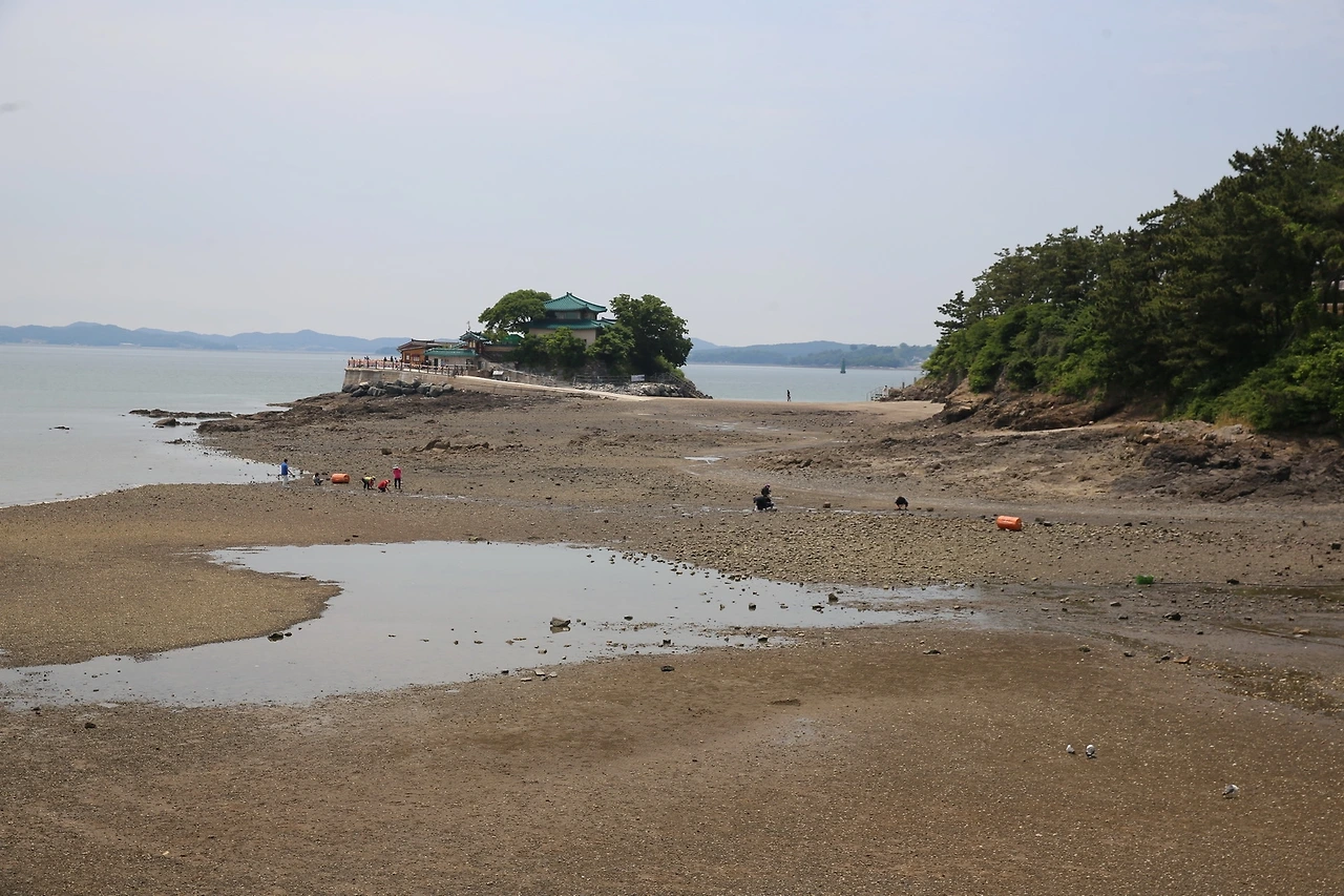 MG0A6223_новый размер.JPG