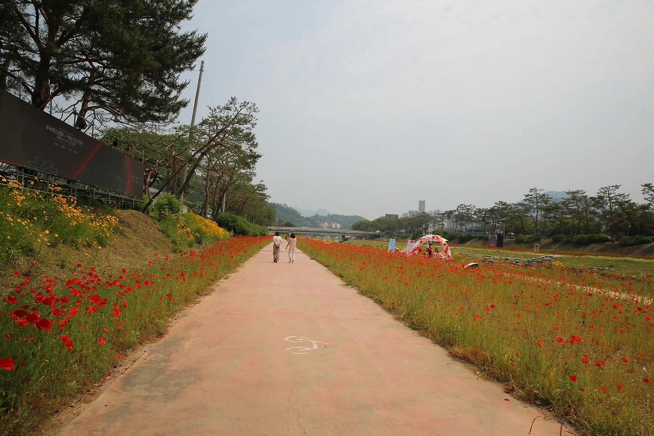 MG0A4294_новый размер.JPG