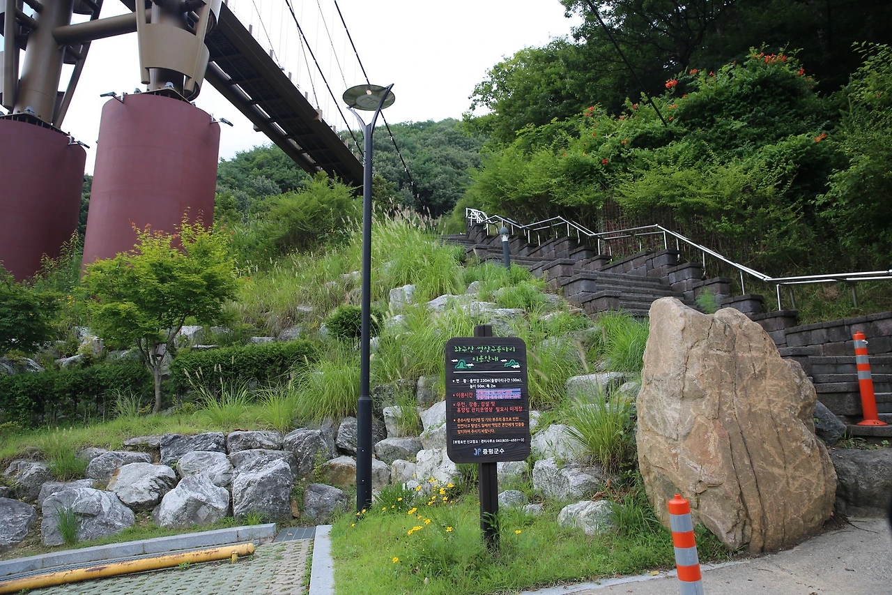 MG0A7884_новый размер.JPG