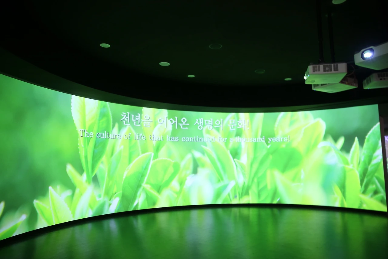 MG0A8341_новый размер.JPG