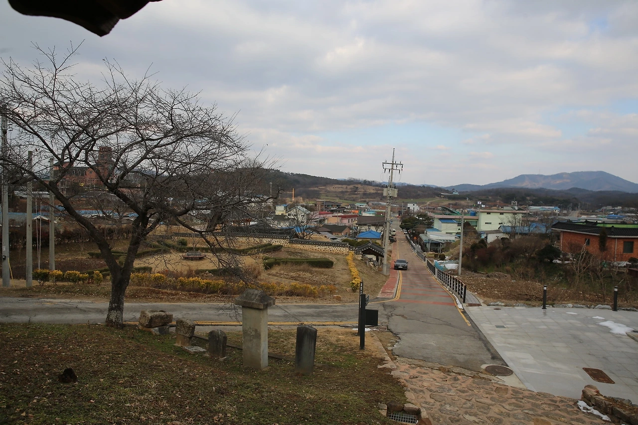 MG0A8669_новый размер.JPG