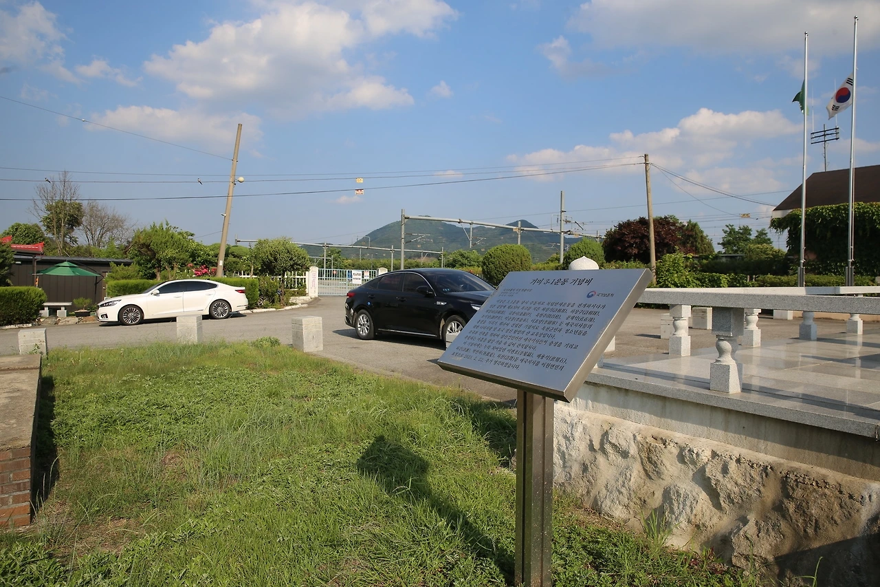 MG0A1638_новый размер.JPG