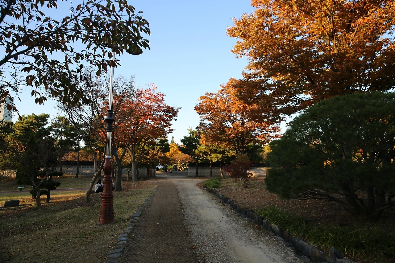 MG0A7203_новый размер.JPG