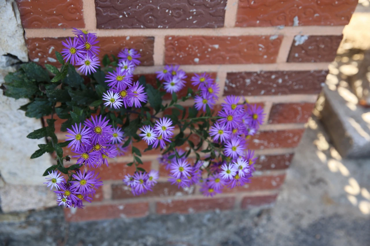 MG0A9125_новый размер.JPG