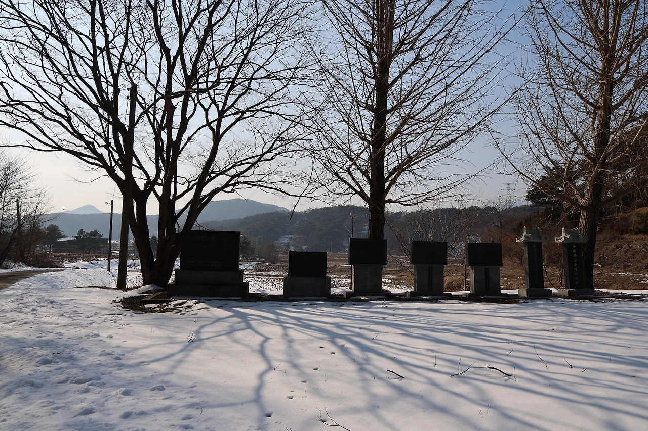 0R5A7587_новый размер.JPG