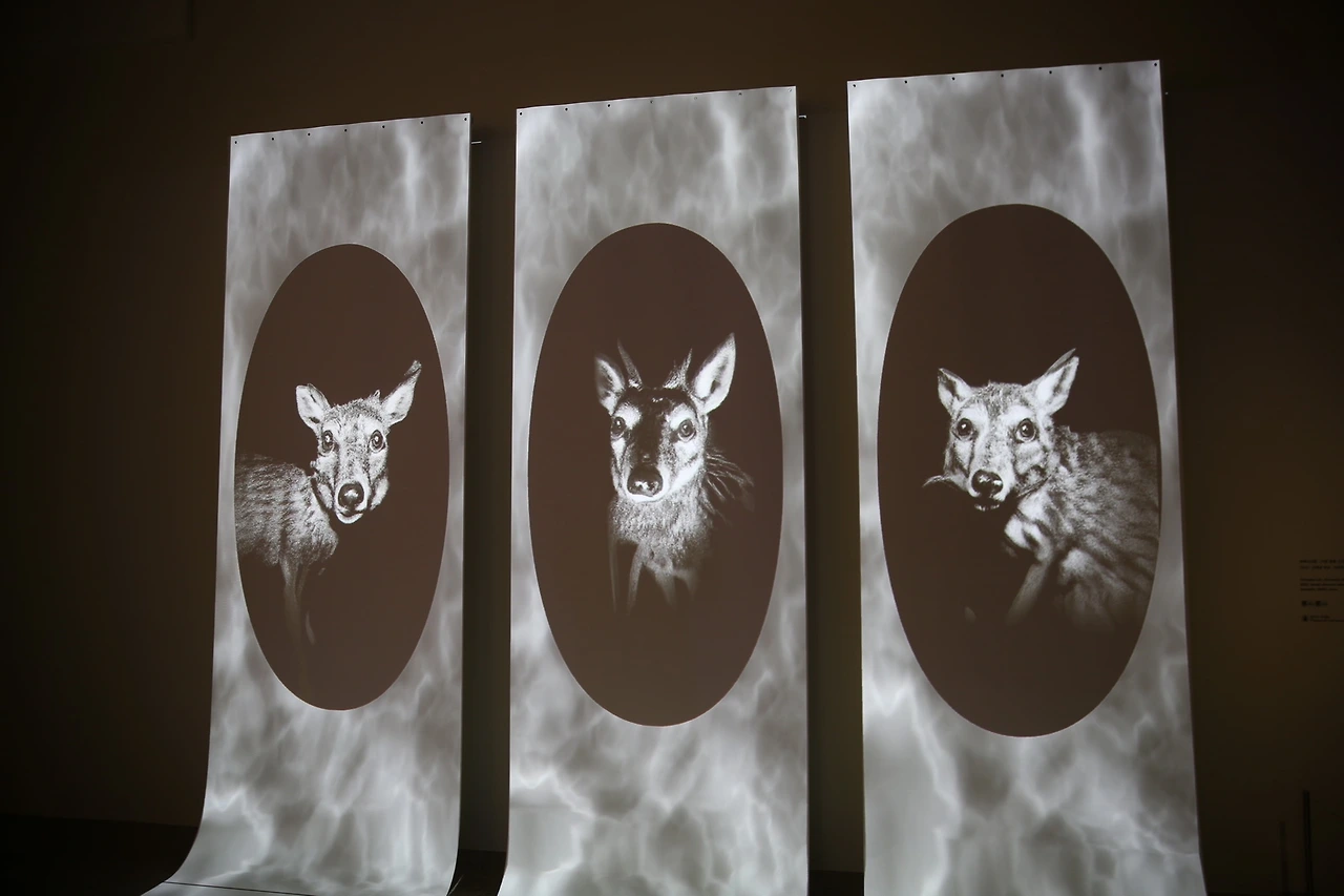 MG0A1383_новый размер.JPG