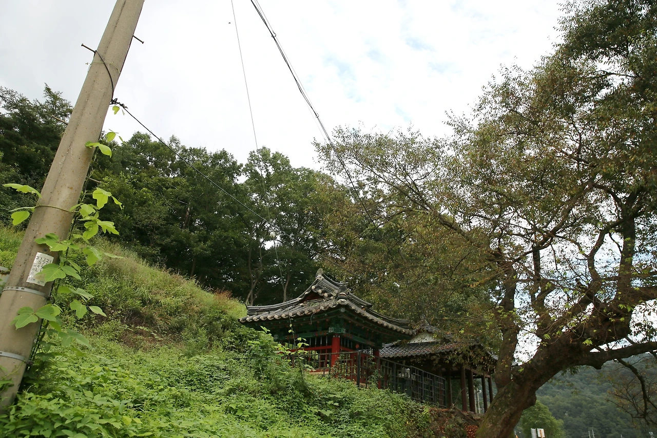 MG0A0575_новый размер_exposure.JPG