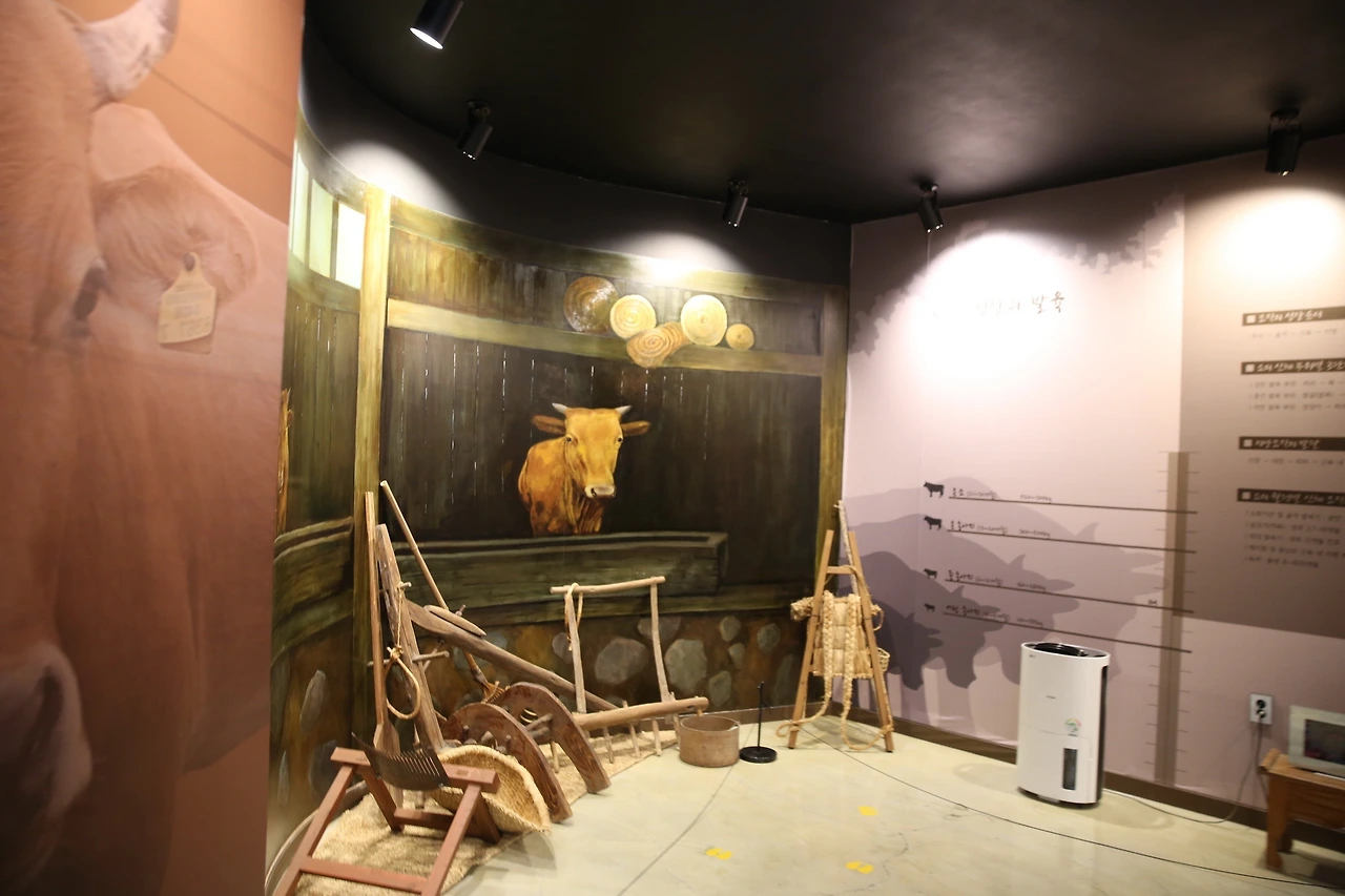 MG0A8334_новый размер.JPG