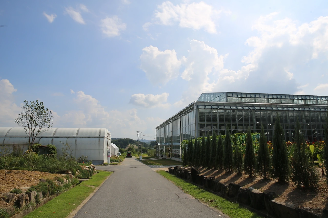 MG0A0429_новый размер.JPG