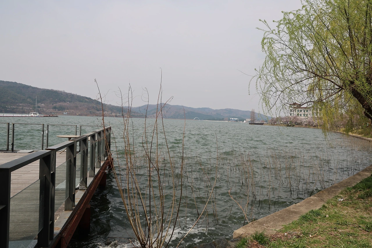 0R5A4616_новый размер.JPG