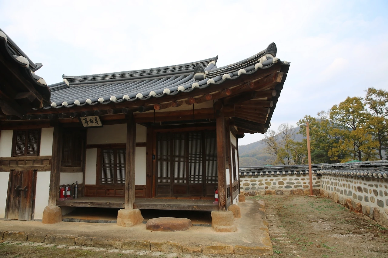 MG0A1247_новый размер.JPG