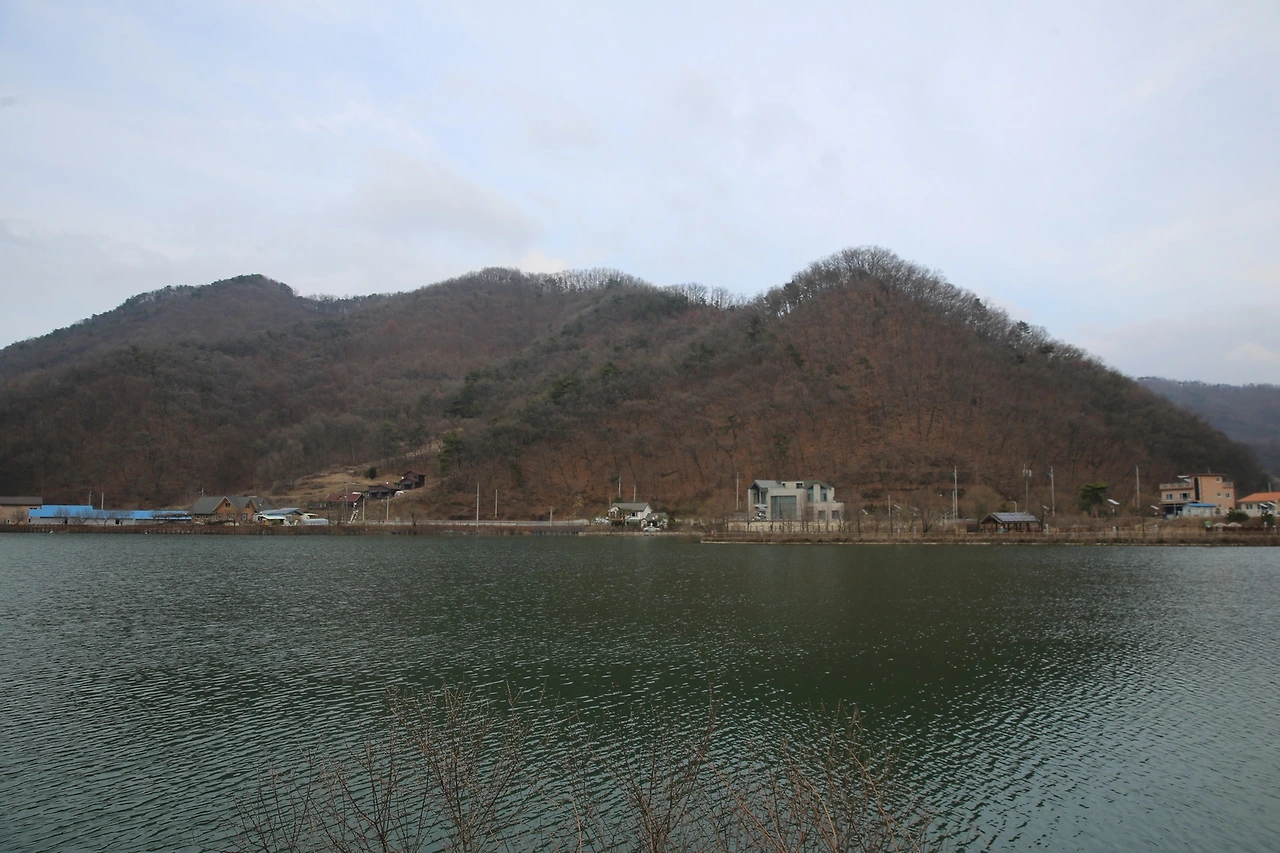 MG0A1584_новый размер.JPG