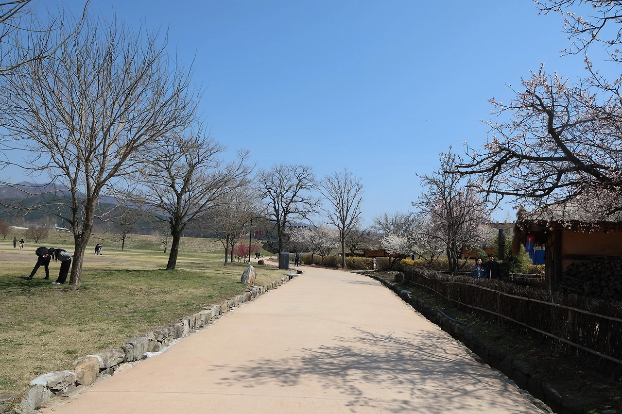 0R5A5986_новый размер.JPG