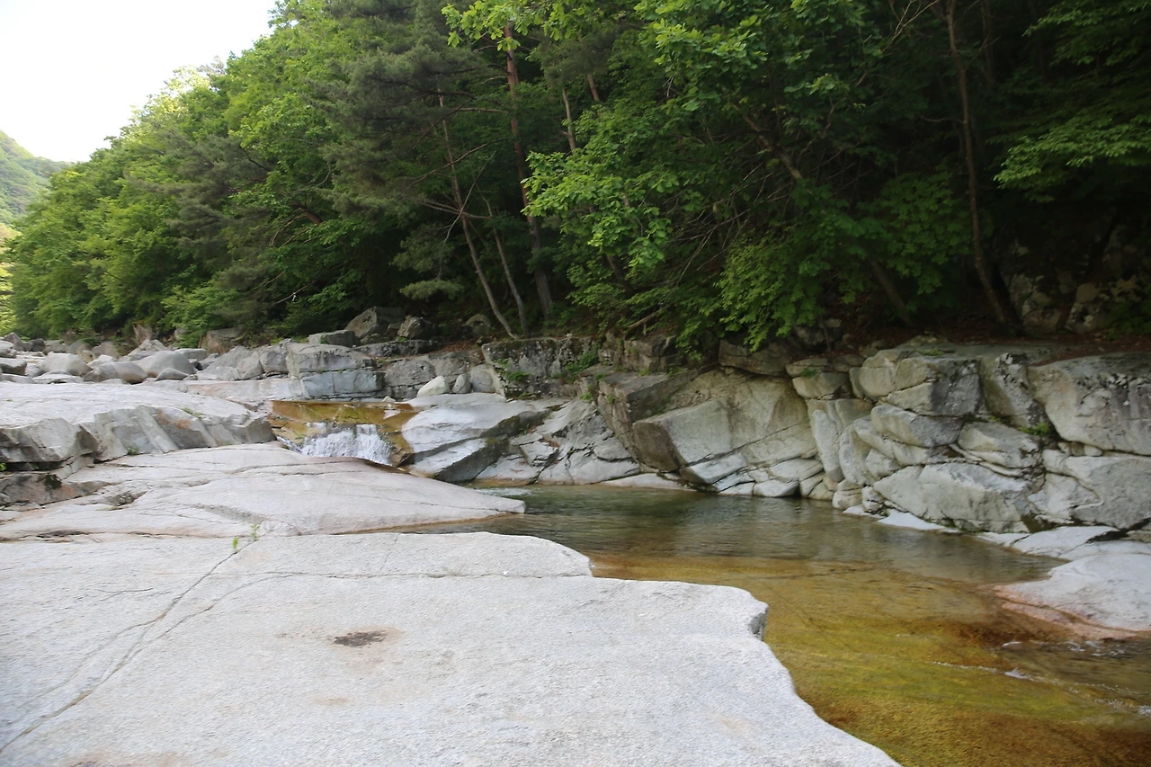 MG0A9478_новый размер.JPG