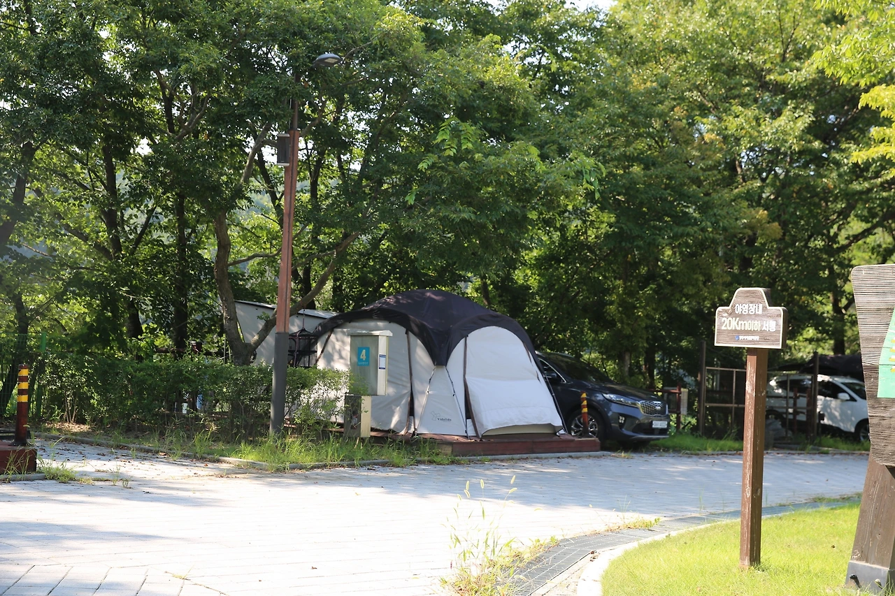 MG0A6796_новый размер.JPG