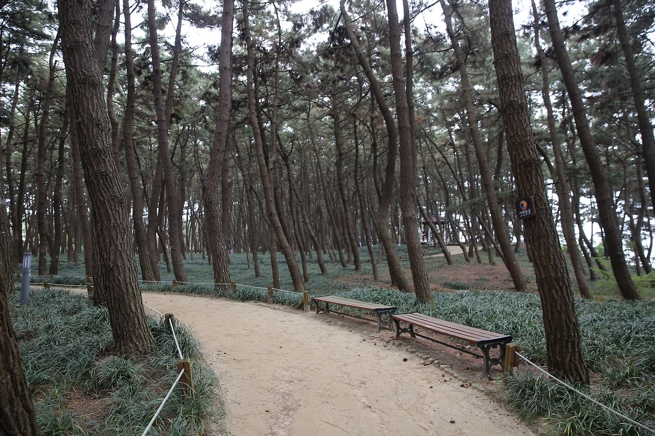 MG0A0547_новый размер.JPG