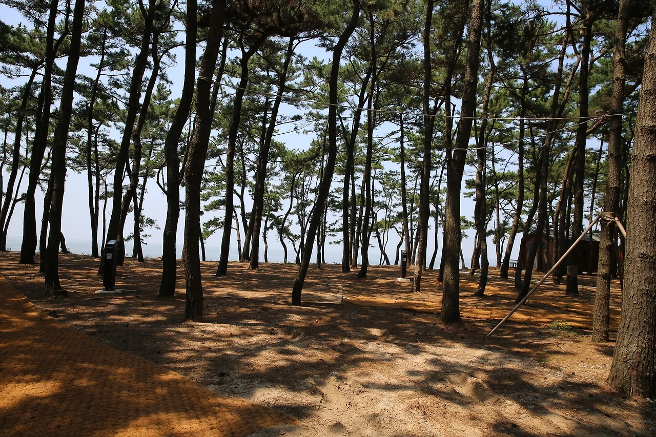 MG0A5727_новый размер.JPG