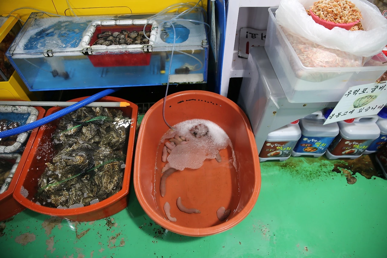 MG0A0714_новый размер.JPG