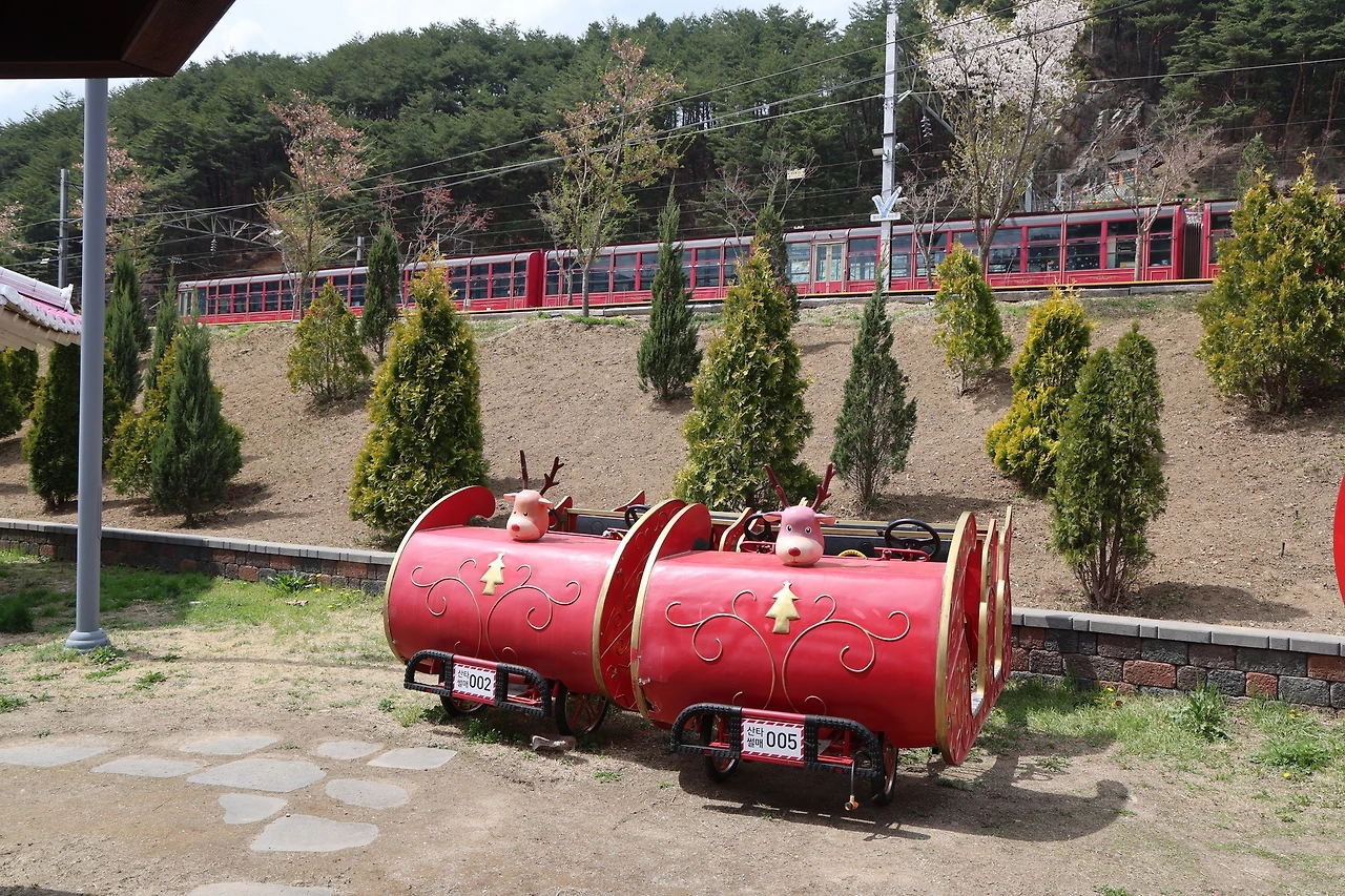 0R5A7321_новый размер.JPG