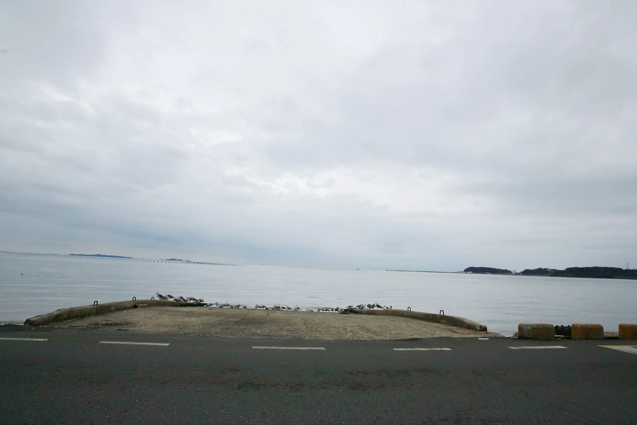 MG0A2487_новый размер_exposure.JPG