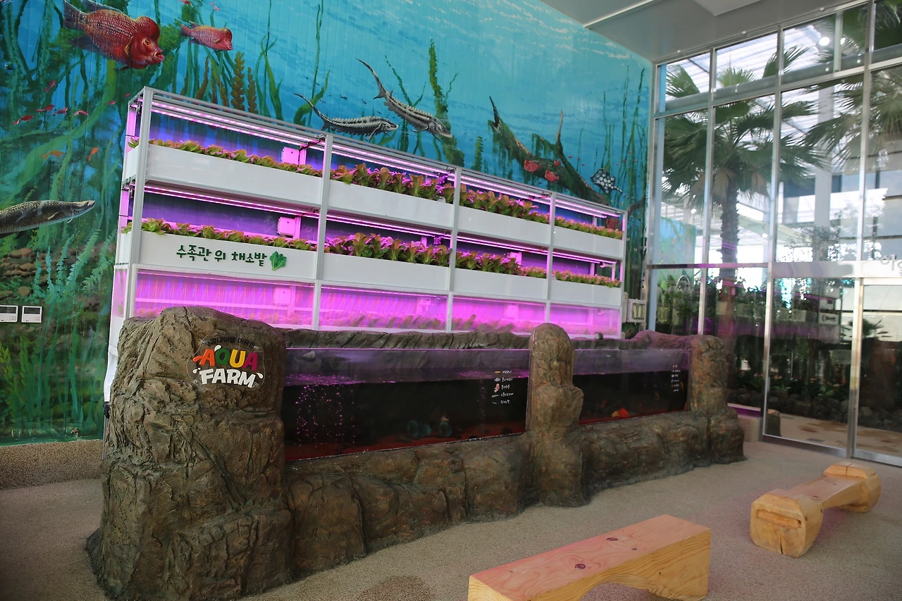 MG0A0434_новый размер.JPG