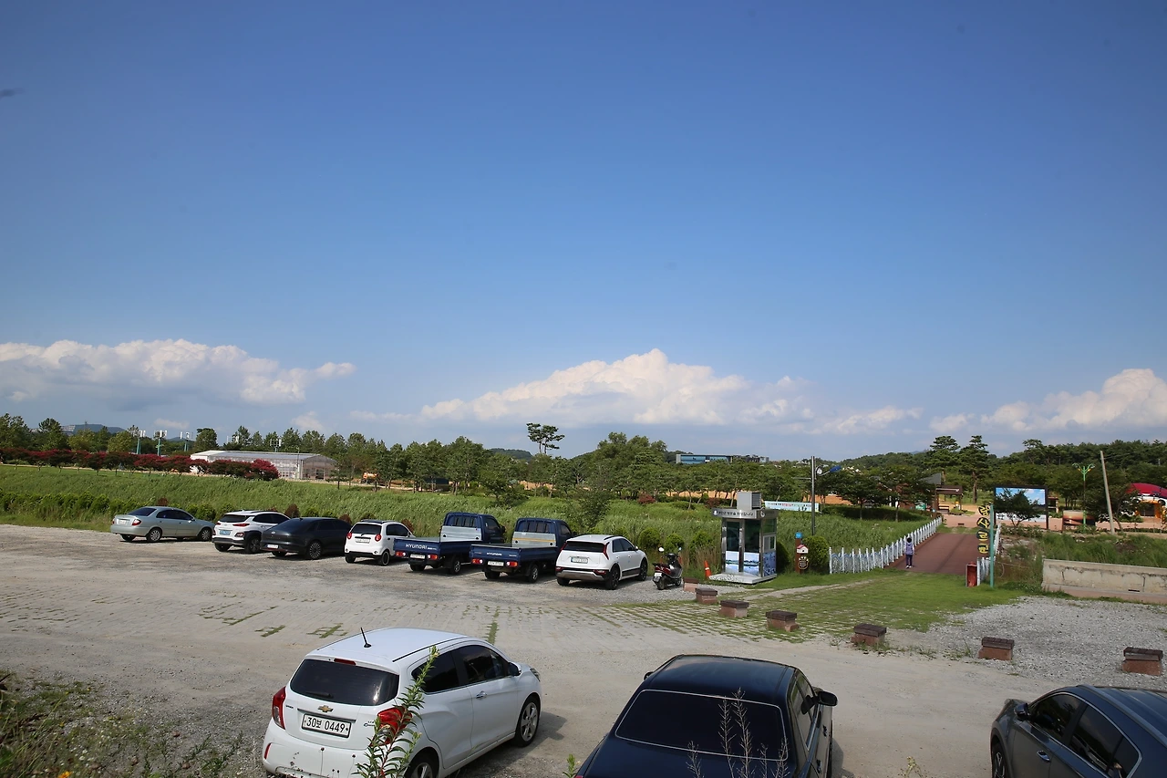 MG0A5292_новый размер.JPG