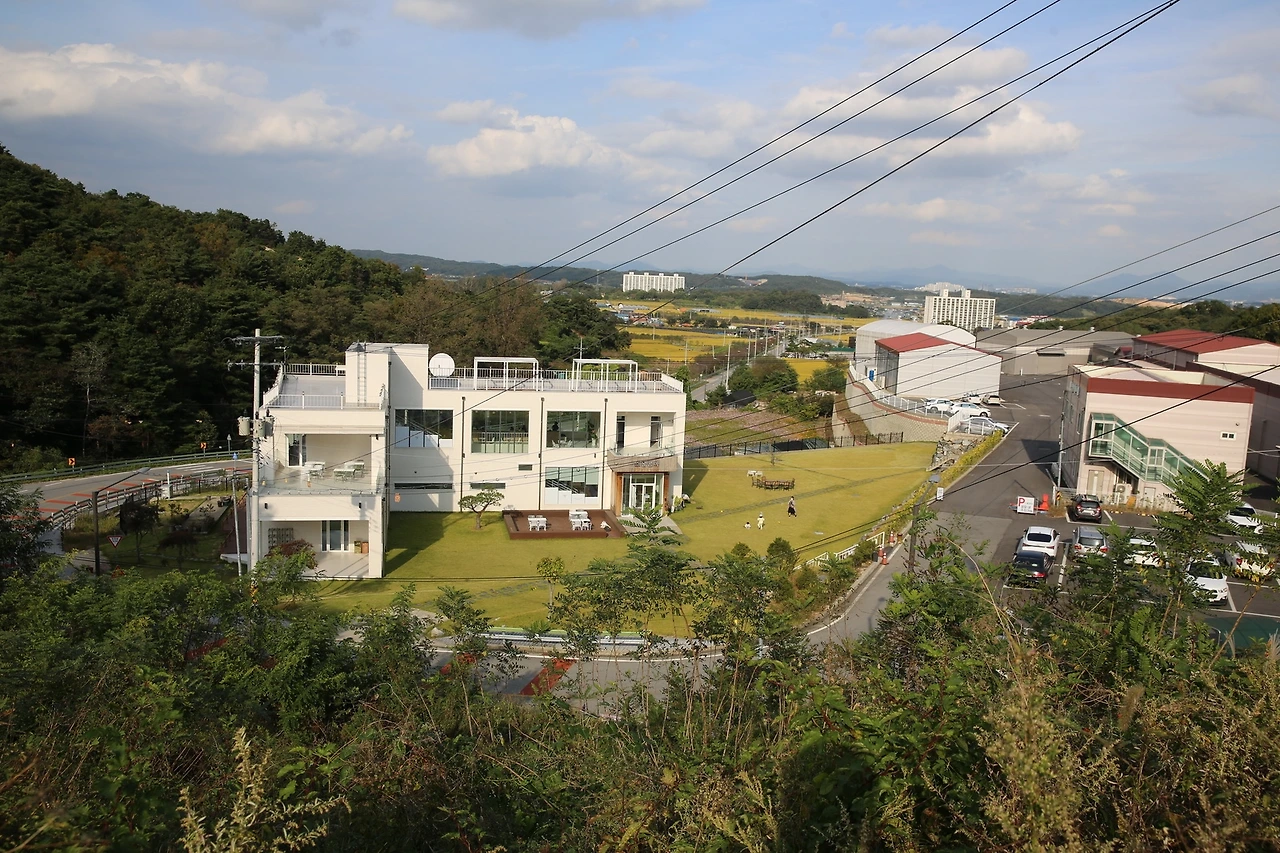 MG0A5675_новый размер.JPG