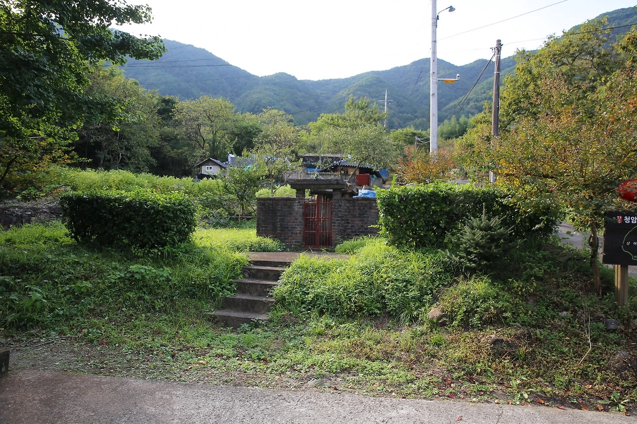 MG0A5846_новый размер.JPG