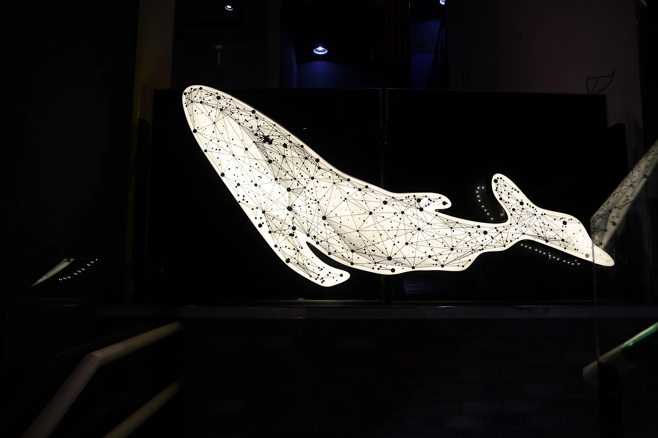 0R5A2236_новый размер.JPG