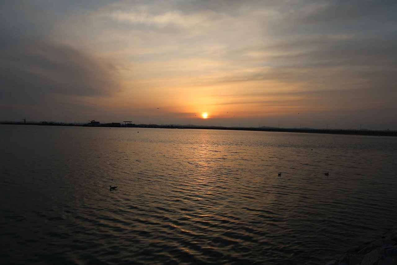 0R5A7719_новый размер.JPG