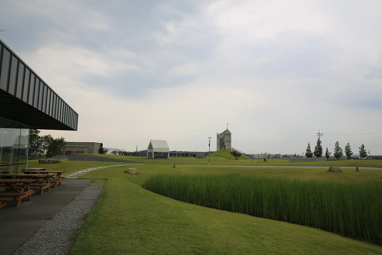 MG0A1787_новый размер.JPG