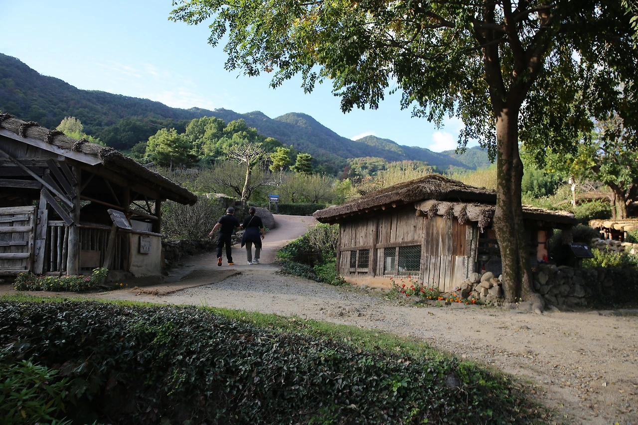 MG0A7989_новый размер.JPG