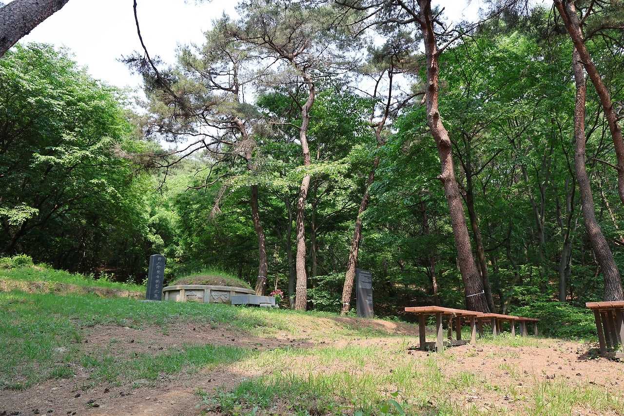 0R5A3227_новый размер.JPG