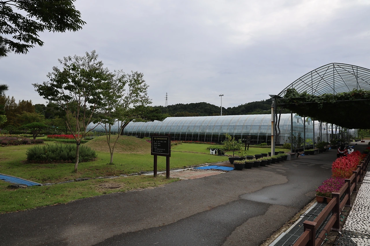 0R5A7700_новый размер.JPG