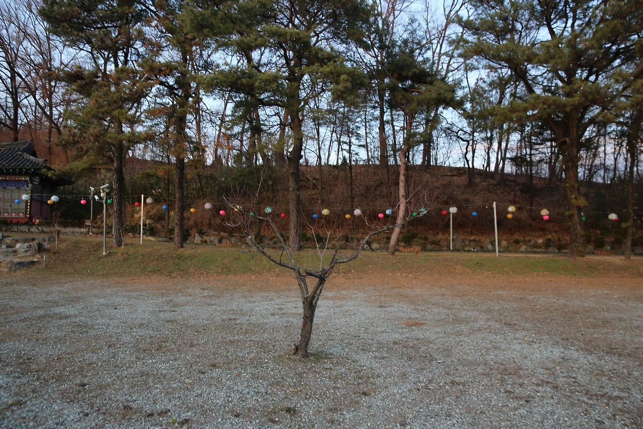 MG0A2038_новый размер.JPG