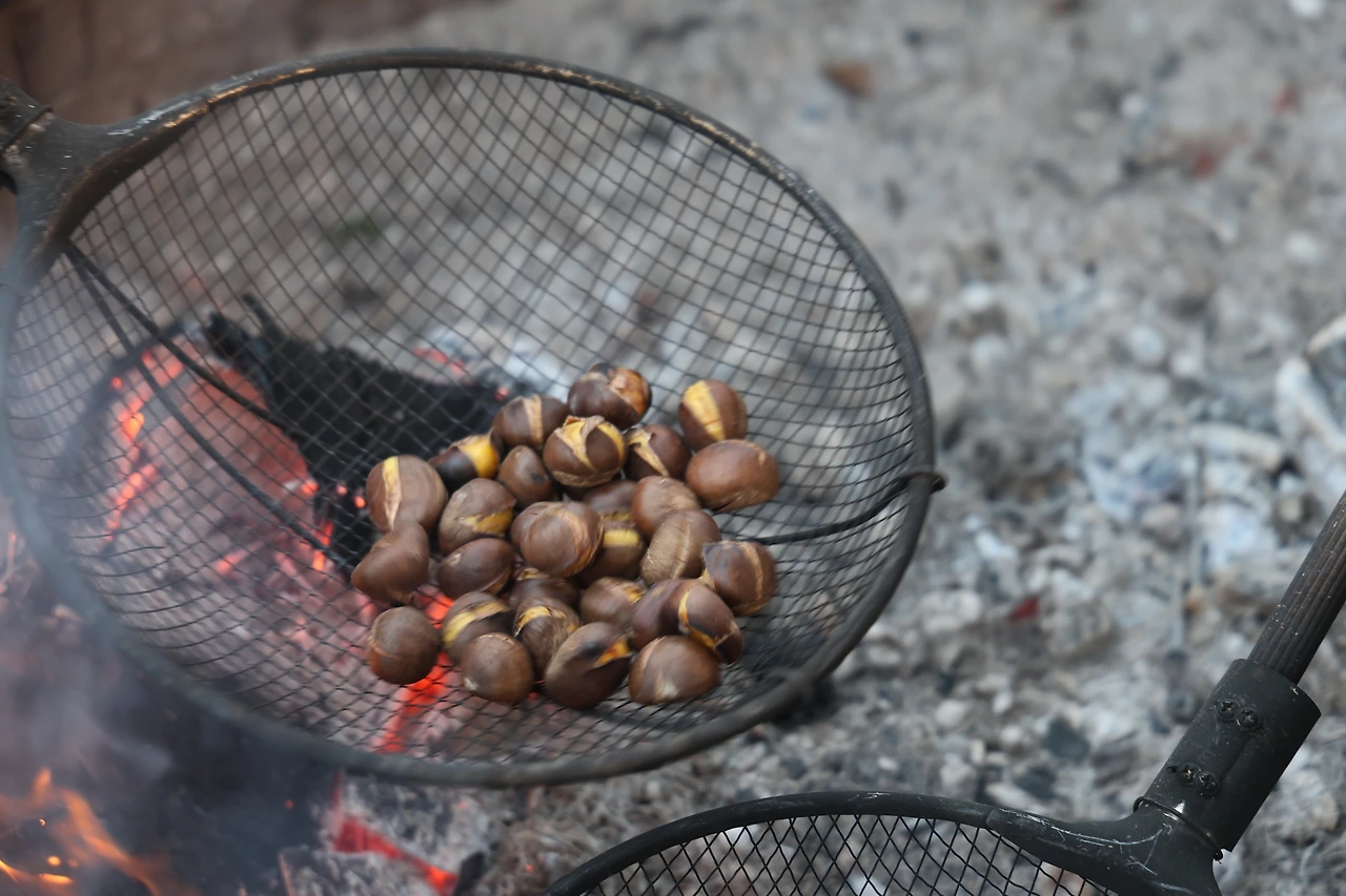 0R5A3677_новый размер.JPG