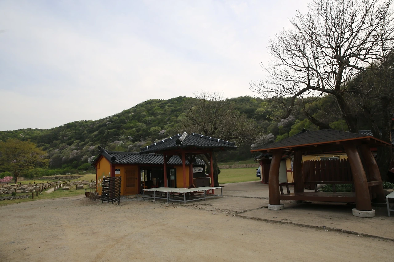 MG0A9484_новый размер.JPG